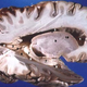 Image for article titled Cocaine abuse may actually accelerate brain aging